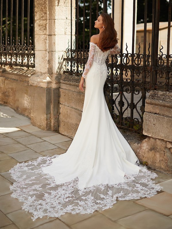 Beautiful Illusion Bodice Long Sleeve Lace Wedding Dress With Plunging Back  Neckine