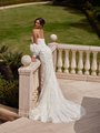 V-Back Tulle and Lace Appliques Mermaid with Detachable Sleeves and Chapel Train ValStefani PEARL