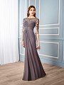 Val Stefani Celebrations MB7544 elegant mother of the bride trumpet gown with sheer embroidered sleeves Val Stefani Celebrations MB7544 elegant mother of the bride trumpet gown with sheer embroidered sleeves